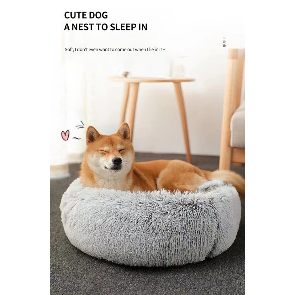 petbedworld