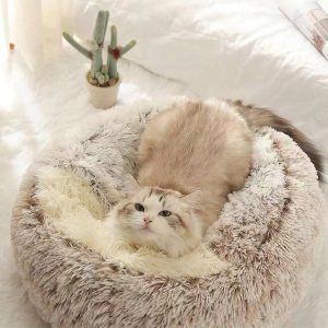 petbedworld